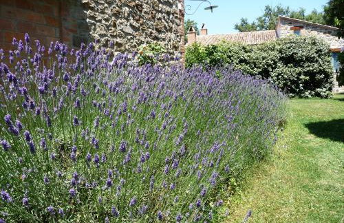 Podere Sant'Angelo - Foto 41