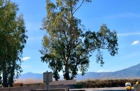 Maison en bord de mer, Plage de la Marana en Corse - Foto 26
