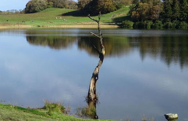 Lake District Coastal Cottage - Foto 30