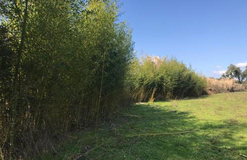 Monte das Texugueiras - Foto 57