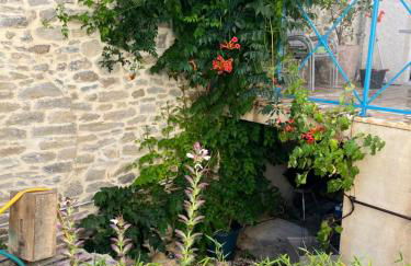 Chez Elia, pour les amoureux des vieilles pierres - Foto 14