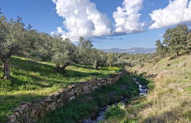 Casa rural rio yeguas - Foto 21