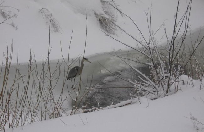 Adorable Aparment in Wildemann With Parking - Foto 65