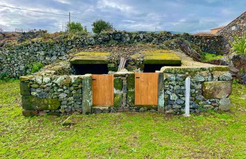 Casa do Avô José Alves - Photo 45