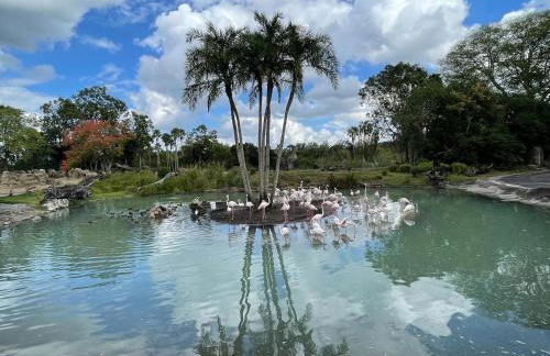 3 Bedroom Villa with Poolside Cinema and Games Room Close to theme Parks sleeps 6 - Photo 57