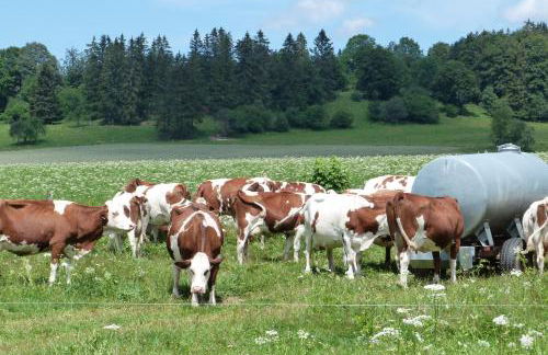 LA GRANGE DE HAUTE-JOUX - Foto 38