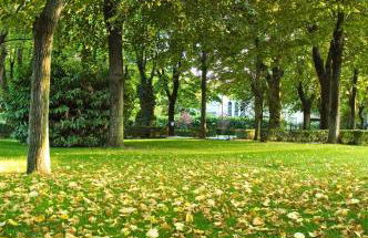 Residence Alleterme - Foto 22