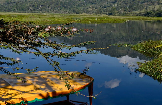 Day Trip to Villa Rica & the Oconal Lagoon - Foto 1