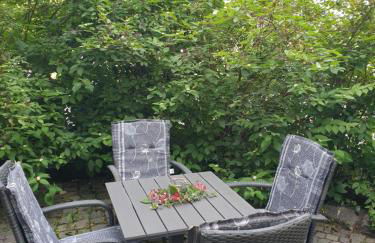 Neu Gemütliche Ferienhaus mit 3 Ferienwohnungen "Max " , " Leonore " und "Beatrice" - Foto 2