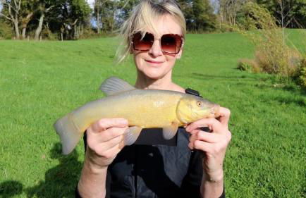 Idyllic Shepherds Hut glorious views to South Downs 'Perch' - Foto 29