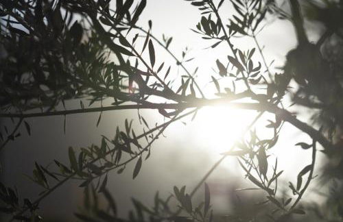 Ethos Retreat, Luxury Villas - Foto 29