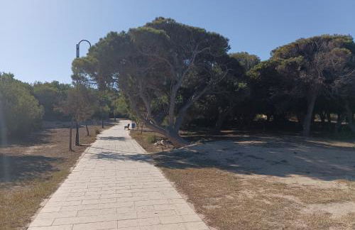 Bonito Apartamento 150 m de la playa La Mata - Foto 42