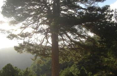 Casa Las Tinajas - Foto 55