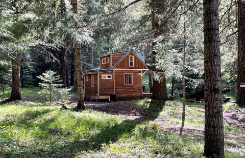 Owl Creek Cabin Mountain Getaway near Ashland, Oregon - Foto 21