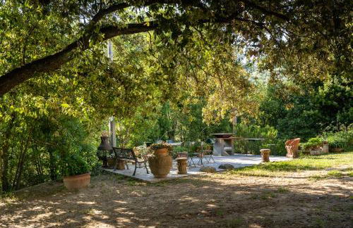 Agriturismo Bellandi - Foto 62