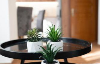 Gaia Celeste Cozy 2 Bedroom Apartment near Ioannina Center - Foto 16