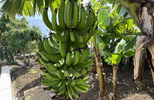 Sky & Ocean Villa - Photo 20