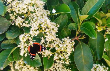 EcoVilla con piscina privata - Apulia Villas - Foto 55