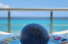 Evita Maisonette, Elegant Beachfront apt, Polychrono - Foto 13