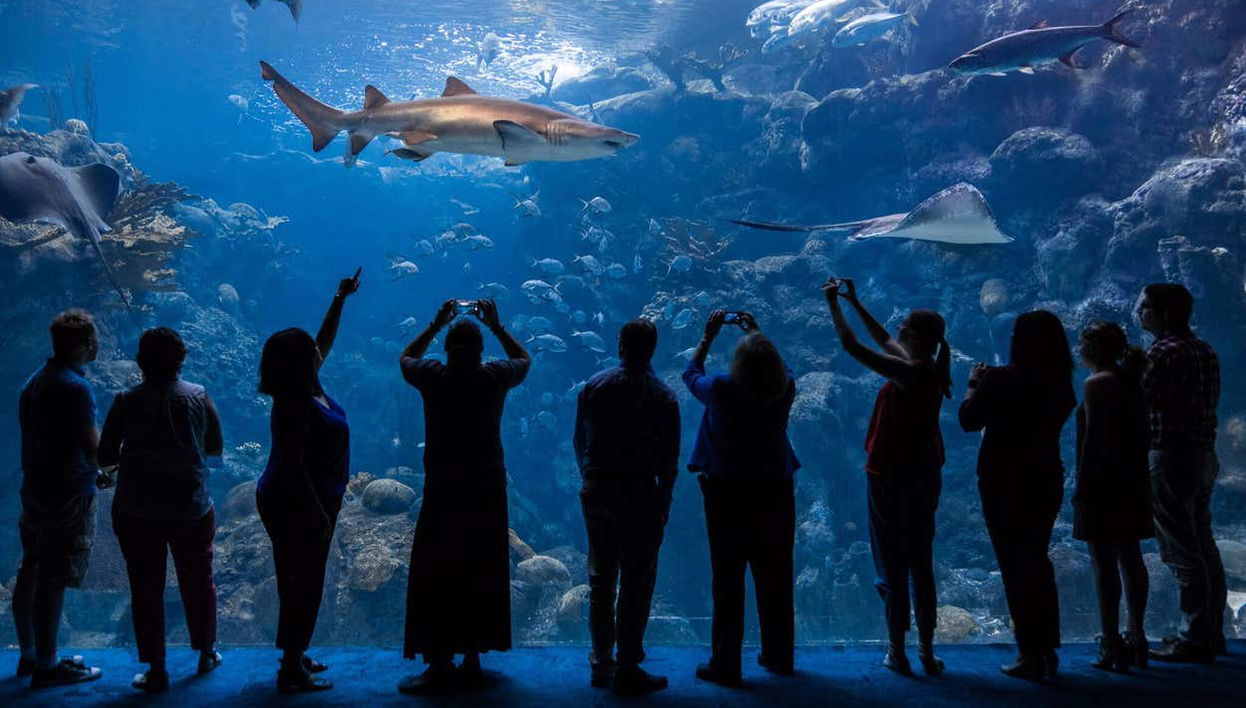 Florida Aquarium