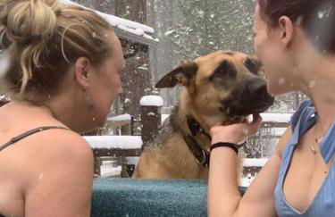 Beautiful Log home outside of Sisters - Foto 32