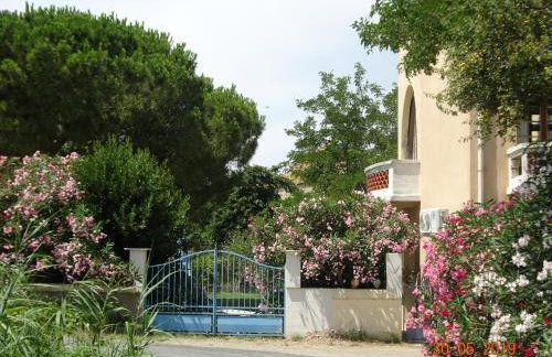 Domaine du Petit Tournebelle - Foto 57