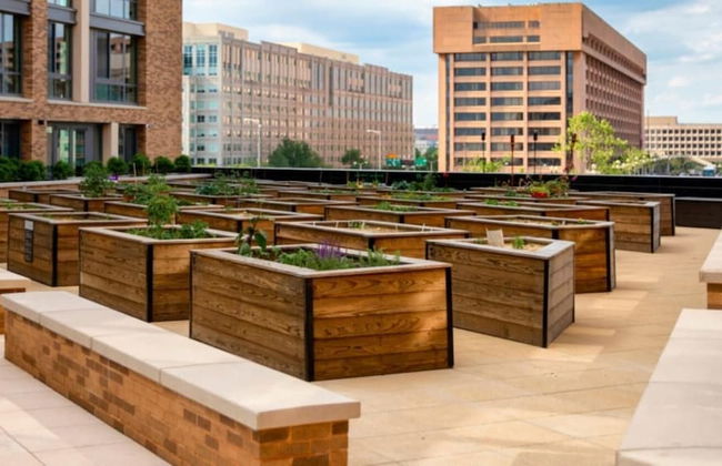 Global Luxury Suites at The Wharf - Foto 28