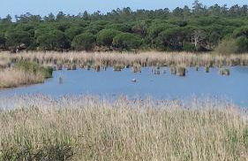 Casa da Ribeira - Foto 36