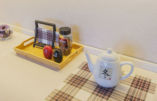 GM Apartment Nikolaeva 1 - Foto 31