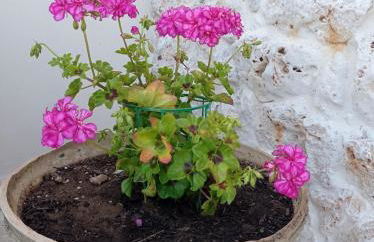 Antica Dimora "Lu suli, Lu mari, Lu jentu" - Foto 55