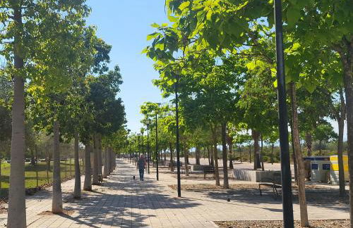 Apartamento Panoramica Golf-San Jordi - Foto 49