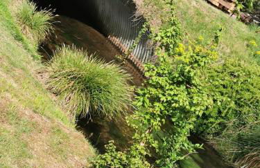 Ferienwohnung Am Salzbach - Foto 14