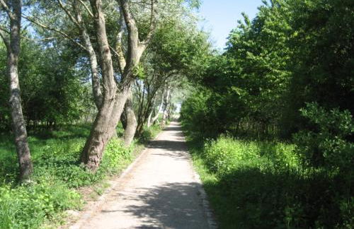 Schlei Idyll - Foto 56