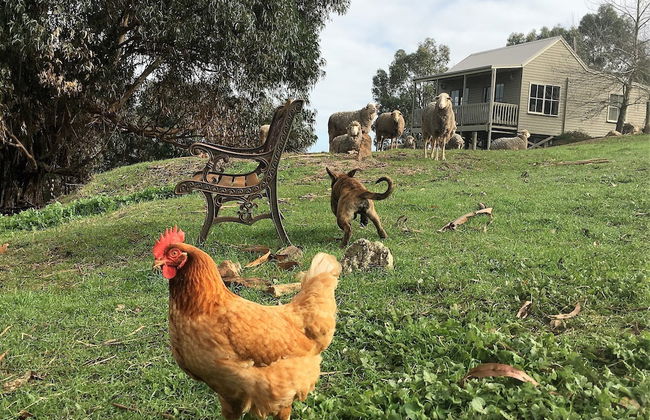 Balingup Highview Chalets - Foto 1