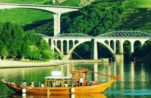 Casa do Trovão - Douro - Foto 1