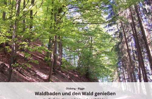 Ferienwohnungen Sauerland und Olsberg - Foto 48