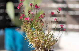 fragoseco loft! Elegance & Luxury - Foto 38