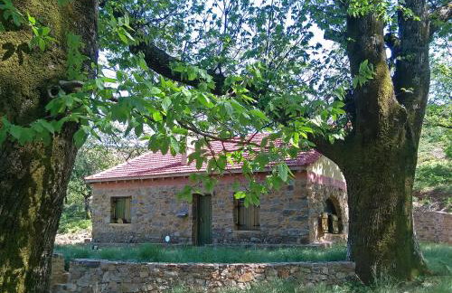 Hani Kastania - Chania retreat for families and groups for holidays and workshops - Foto 43