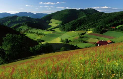 Fewo Blumenweg - Foto 31