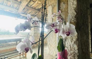 mas du Clap - Photo 20