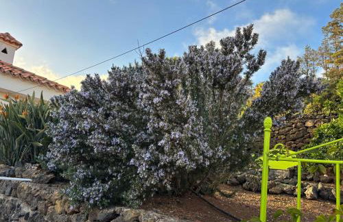 Casa Rural Margarita, relax, vistas, jardín - Foto 58