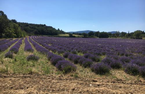 Le Cube des Garrigues - Foto 24