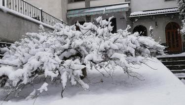 Il Giardino Segreto - Foto 5