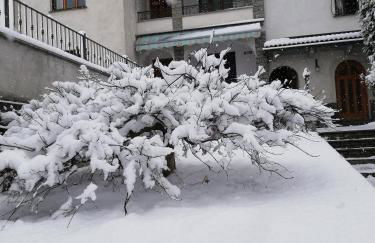 Il Giardino Segreto - Foto 5