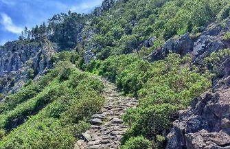 Apartamento Playa Agaete - Foto 48