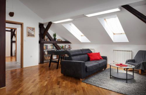 OLIVA 4 STARS - Photo 17