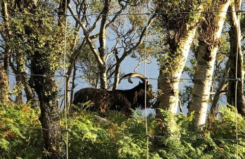 Down House - Photo 24