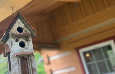 Cozy Cabin Escape Hot Tub & Lake Access - Foto 23