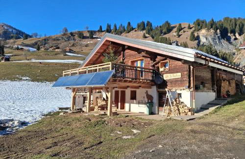 Chalet Beaufortain La Pachna - Foto 25