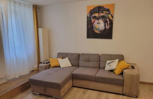 Dumur - centre ville Evian - Foto 11